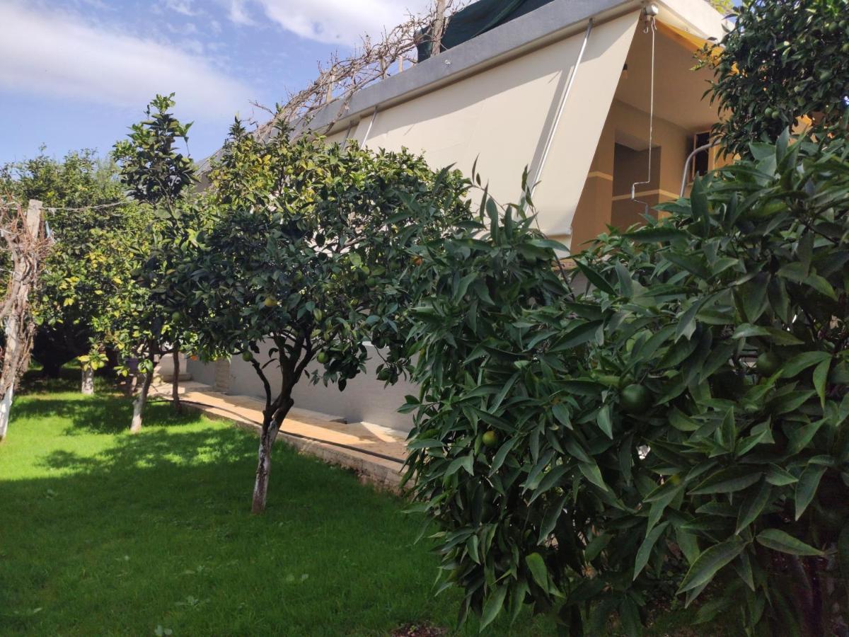 Dema Guesthouse Ksamil Exterior photo